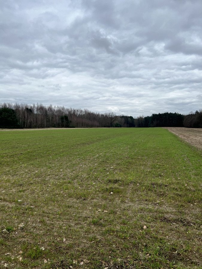 Działka budowlana na sprzedaż Sławiny  1 100m2 Foto 2