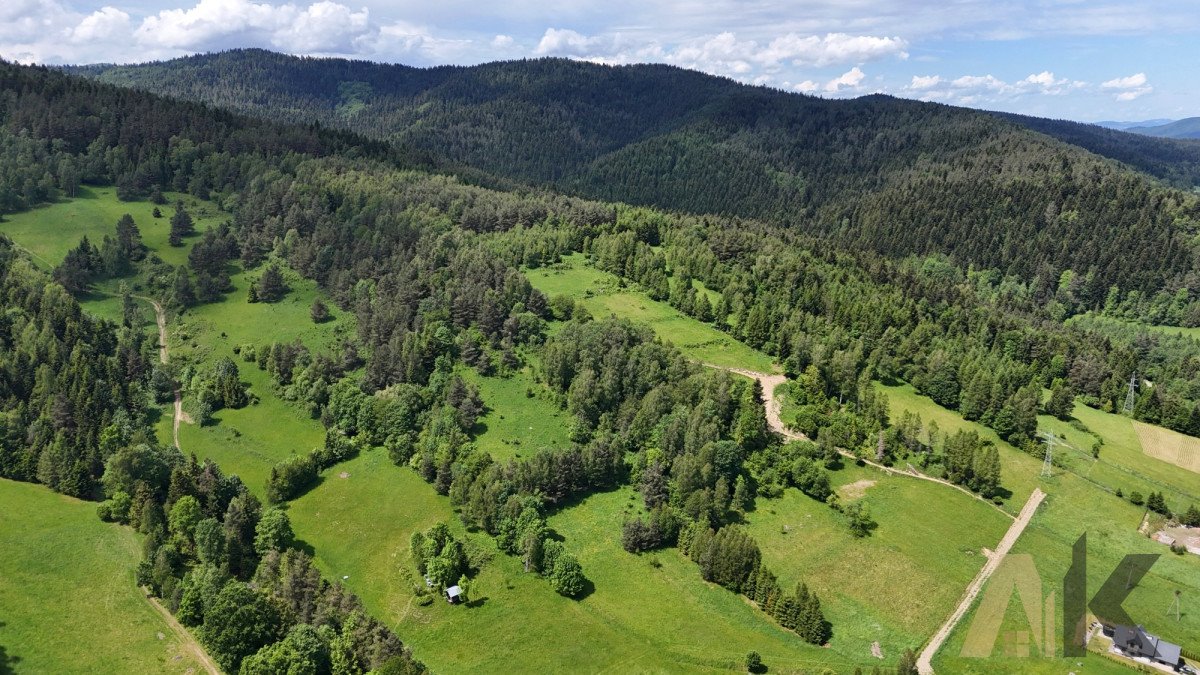 Działka rolna na sprzedaż Nowa Wieś  38 500m2 Foto 7