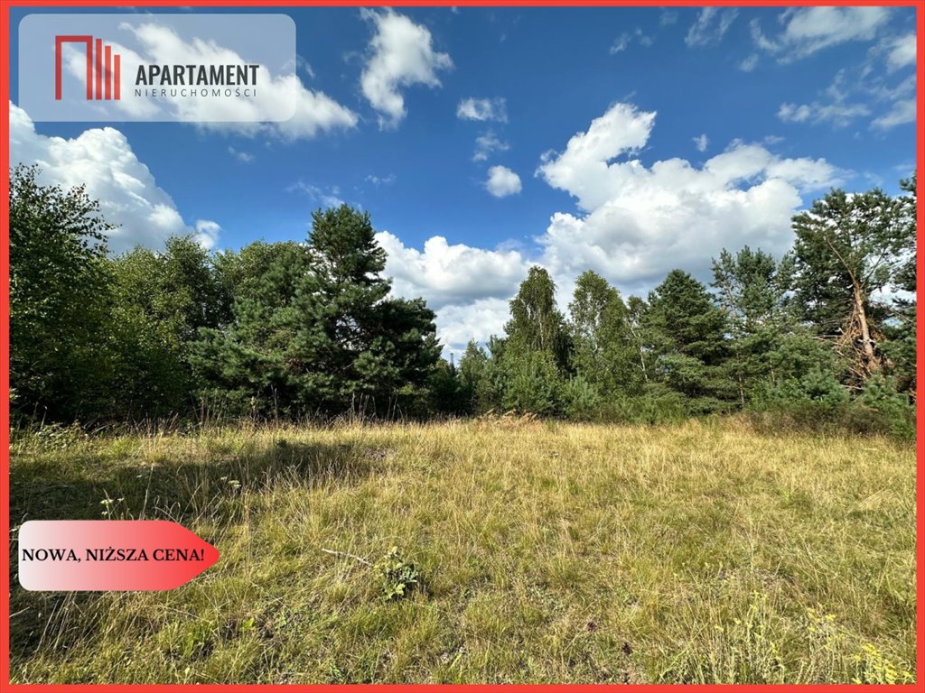 Działka 13 375 m² w Jeleńcz z dostępem do drogi i przyłącza Jeleńcz  13 375m2 Foto 1