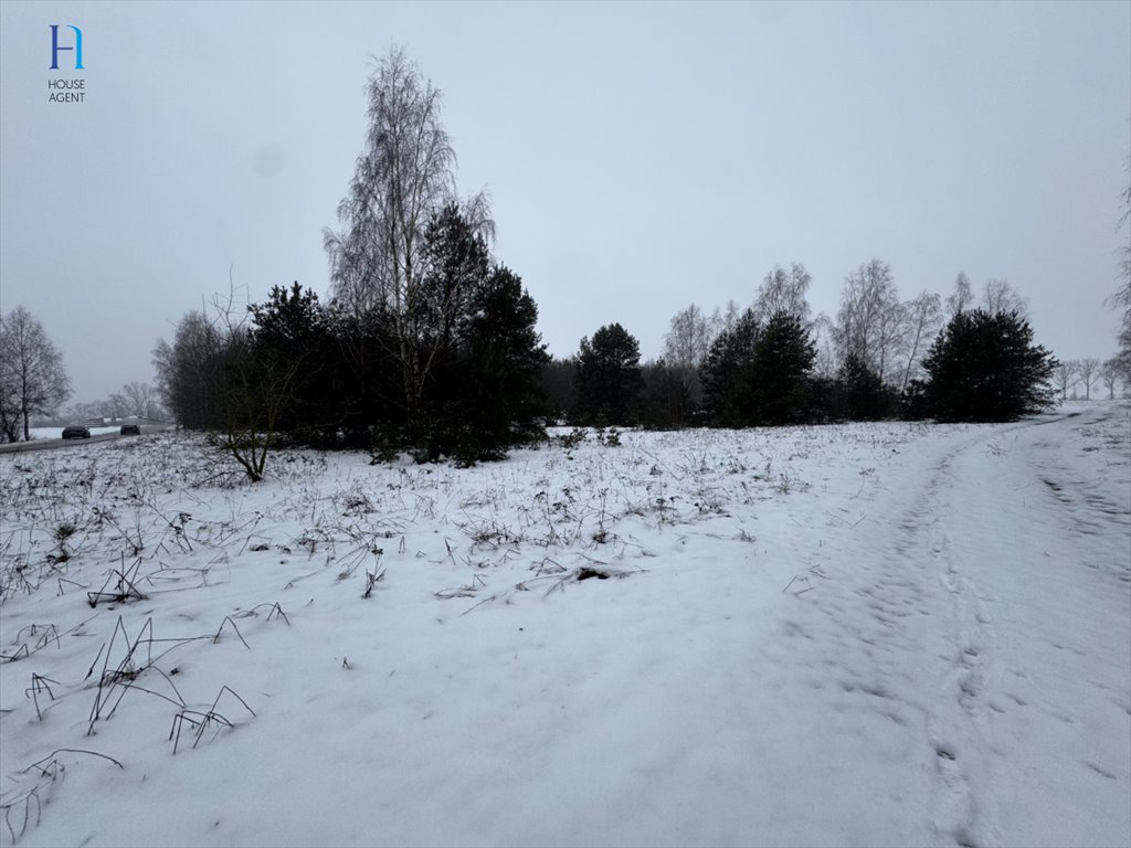 Działka leśna na sprzedaż Iwonie  27 100m2 Foto 9