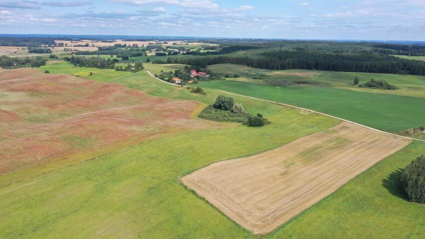 Działka budowlana na sprzedaż Orło  1 785m2 Foto 6