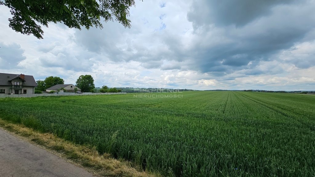 Działka budowlana na sprzedaż Wężerów  15 002m2 Foto 11