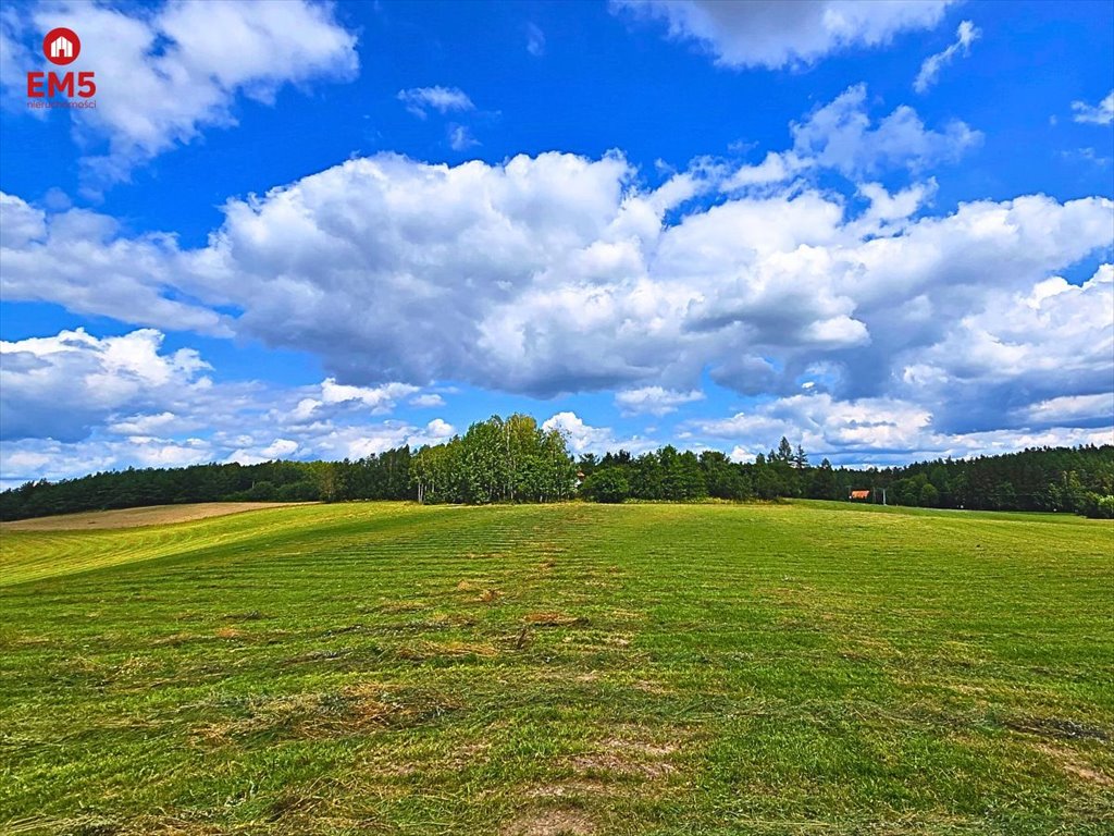 Działka inna na sprzedaż Mierki  2 625m2 Foto 3