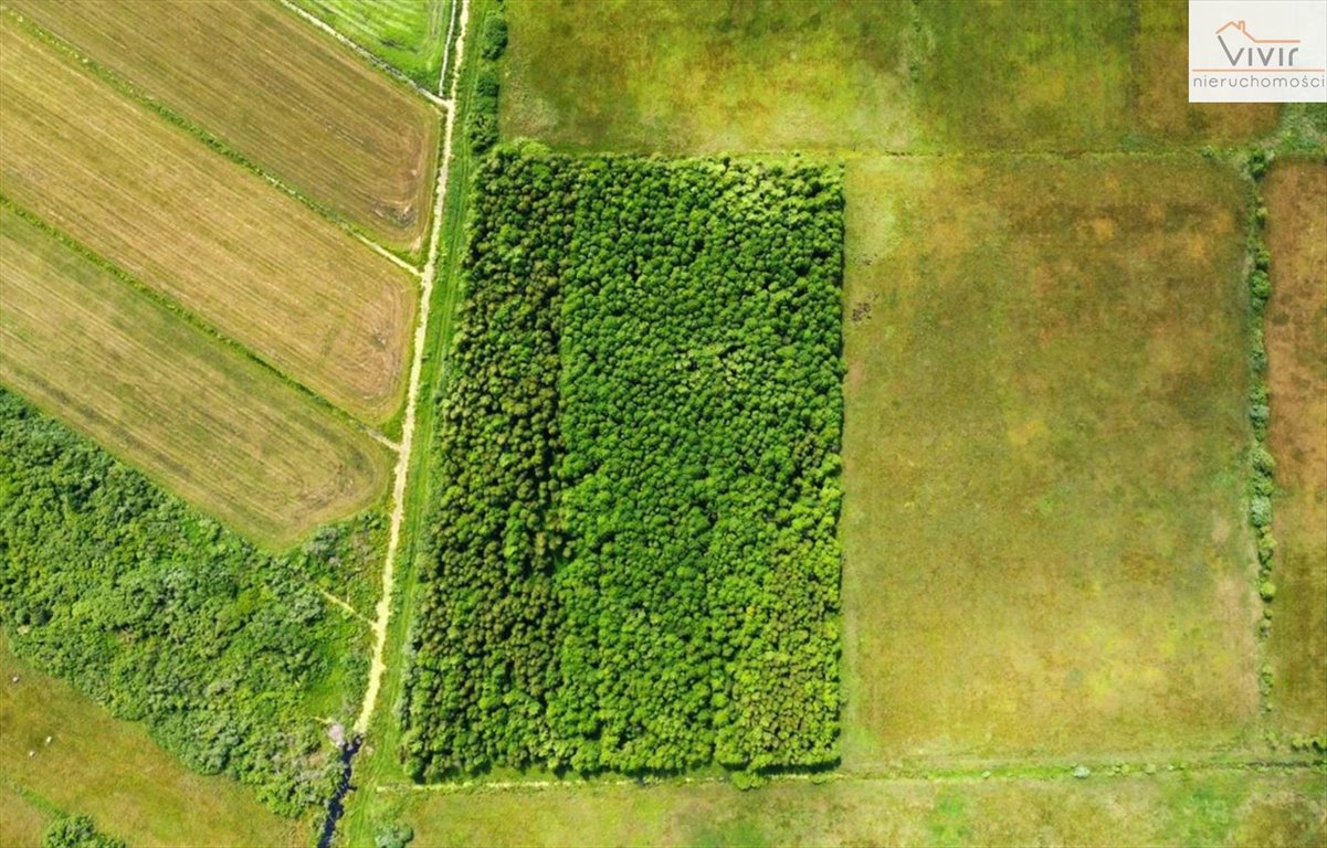 Działka inna na sprzedaż Rzuszcze  30 900m2 Foto 3