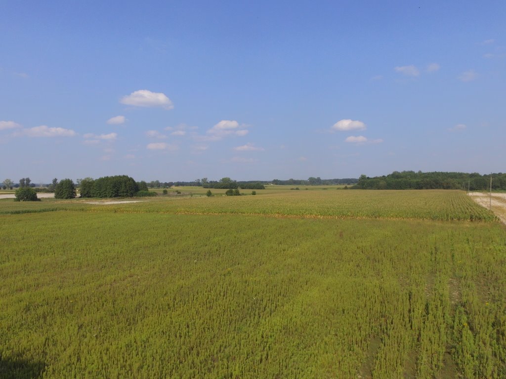 Działka budowlana na sprzedaż Dobra  1 100m2 Foto 1