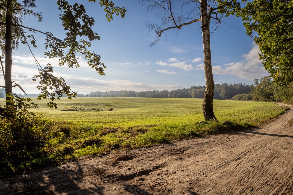 Działki nad jeziorem Stelchno z MPZP i możliwością podziału Skrzynki  3 191m2 Foto 1