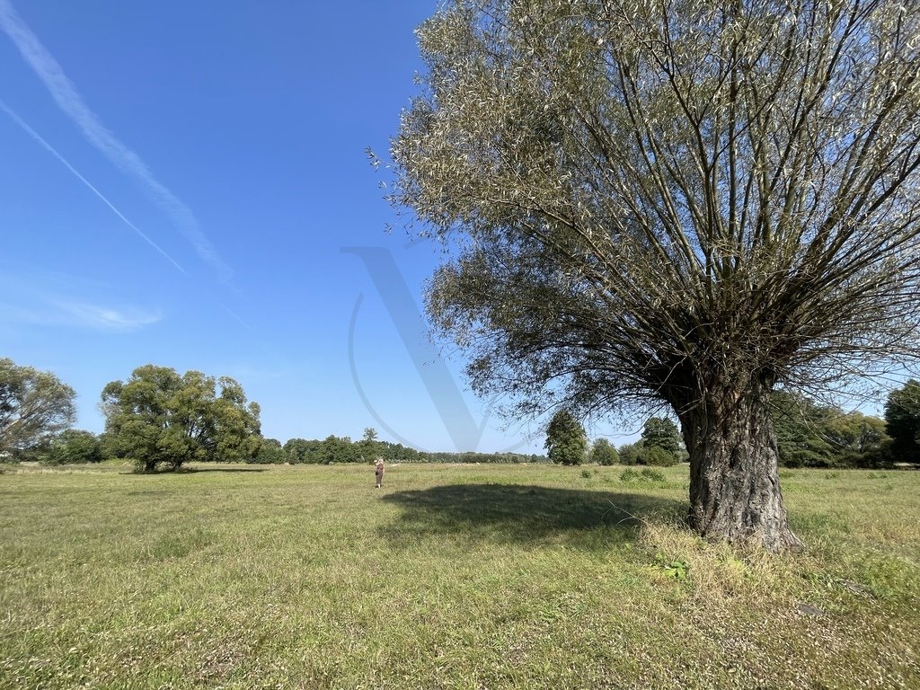 Działka budowlana na sprzedaż Helenów  9 569m2 Foto 6