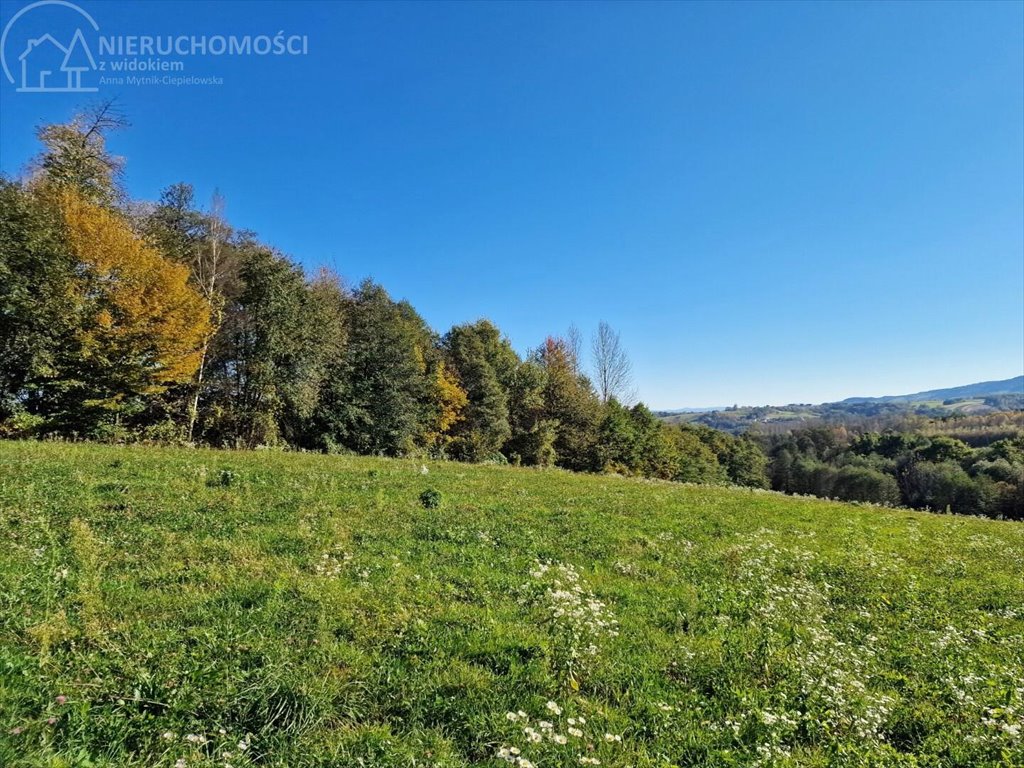 Działka budowlana na sprzedaż Błażkowa  2 559m2 Foto 9