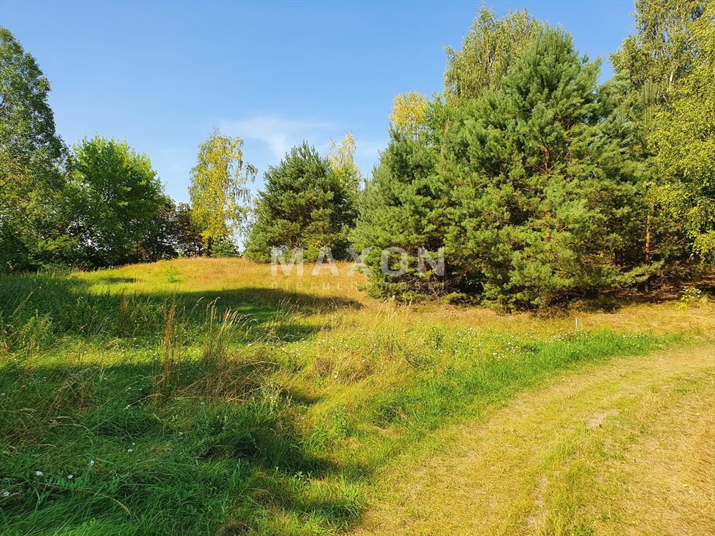 Działka budowlana na sprzedaż Pruszkowo  5 909m2 Foto 9