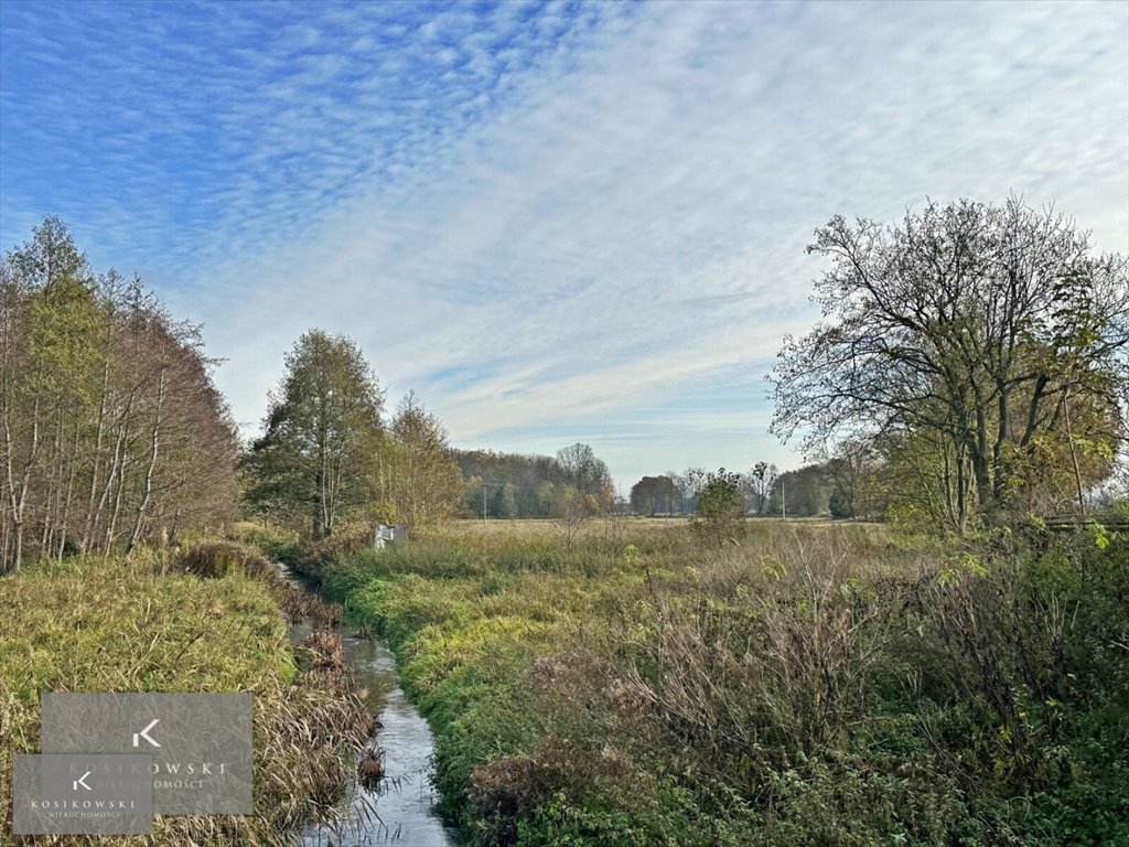 Działka inna na sprzedaż Namysłów, Baldwinowice  46 400m2 Foto 1