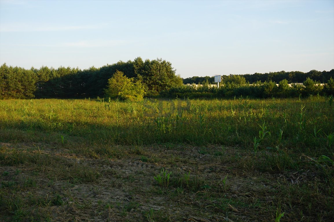 Działka inwestycyjna na sprzedaż Ramiszów  15 000m2 Foto 5