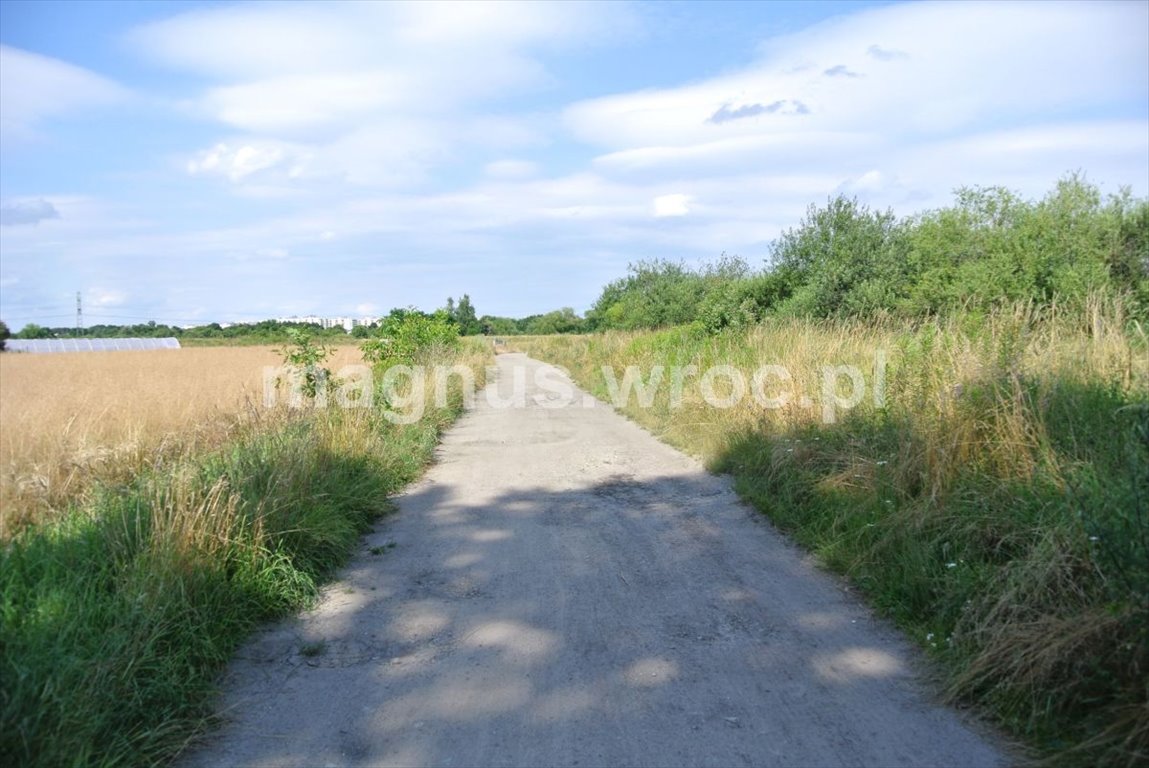 Działka rolna na sprzedaż Wrocław, Psie Pole, Kowale, boczna Lechitów  4 032m2 Foto 12