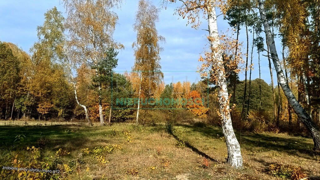 Działka budowlana na sprzedaż Zalesie  3 077m2 Foto 2