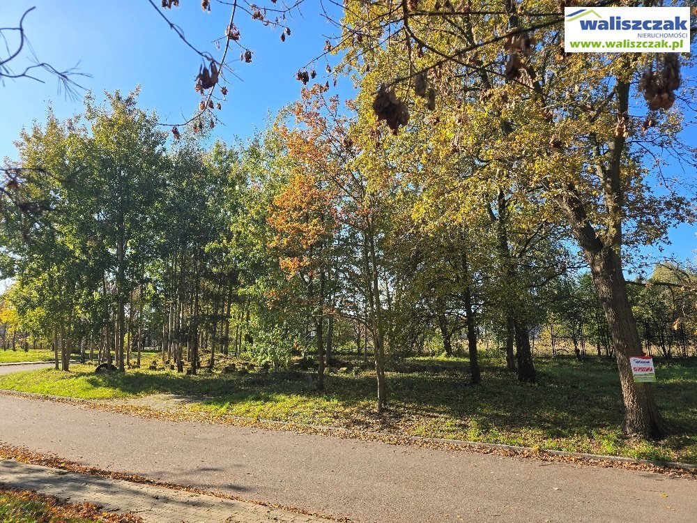 Działka budowlana 1165 m² przy asfaltowej ulicy w Piotrkowie Piotrków Trybunalski, Czesława Miłosza  1 165m2 Foto 1