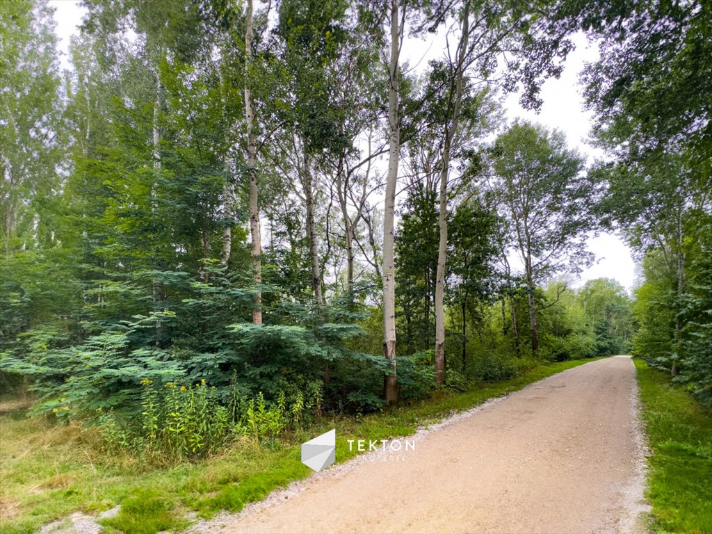 Działka budowlana na sprzedaż Janinów, Szkocka  31 100m2 Foto 11