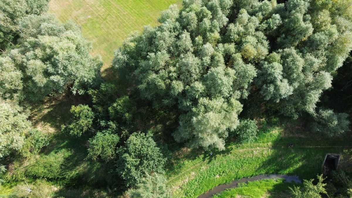 Działki pod zabudowę jednorodzinną i usługową w Przyszowicach Przyszowice, Brzozowa  5 040m2 Foto 1