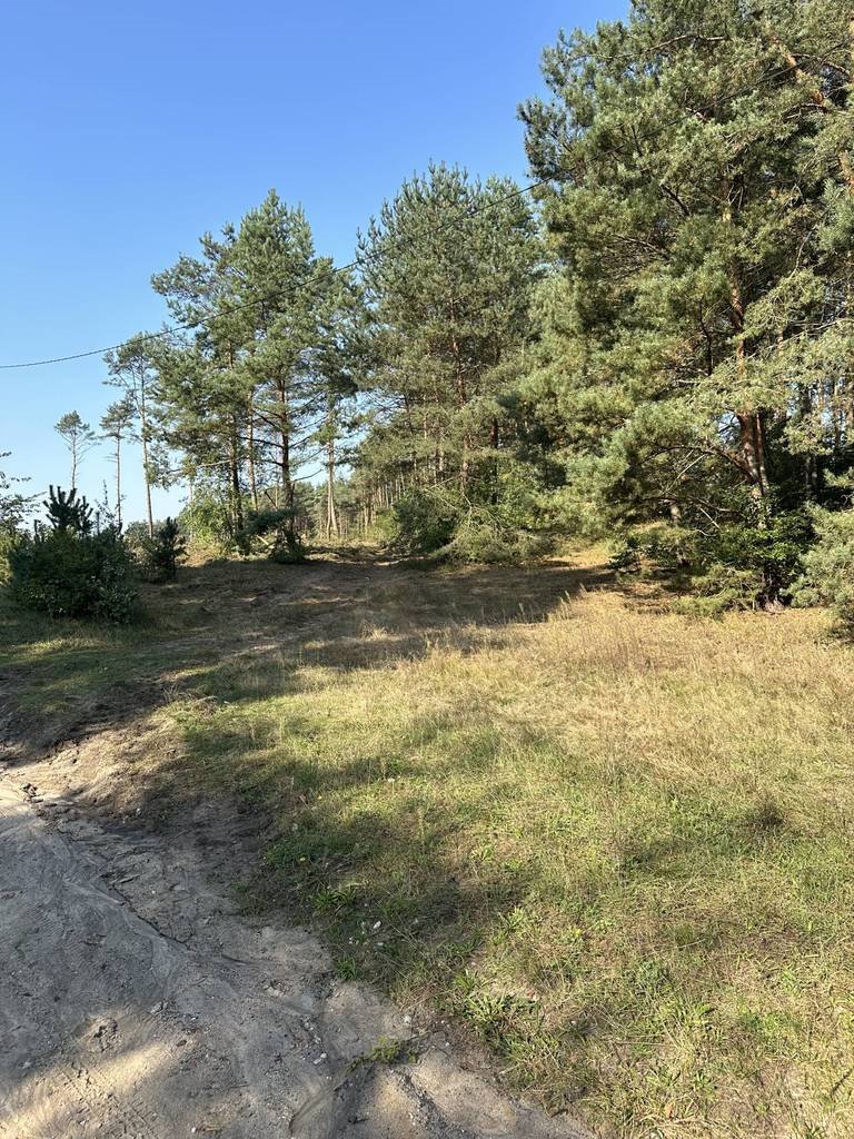 Działka leśna na sprzedaż Daszewice, Piotrowska  42 972m2 Foto 4