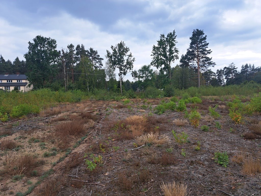 Działka budowlana na sprzedaż Olszewka  1 475m2 Foto 5