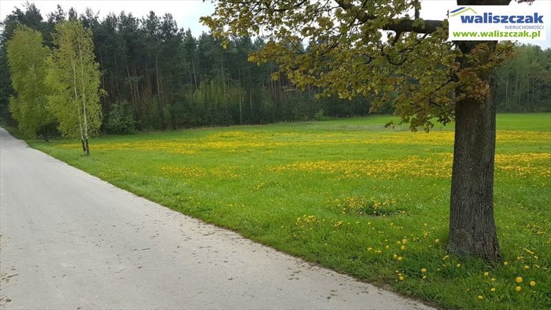Działka budowlana na sprzedaż Włodzimierzów 3 500m2 Foto 1 Działka budowlana na sprzedaż Włodzimierzów 3 500m2 Foto 1