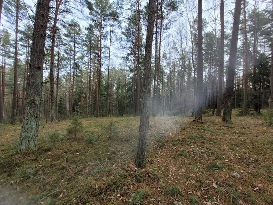 Działka gospodarstwo rolne na sprzedaż Wierobie  29 908m2 Foto 5