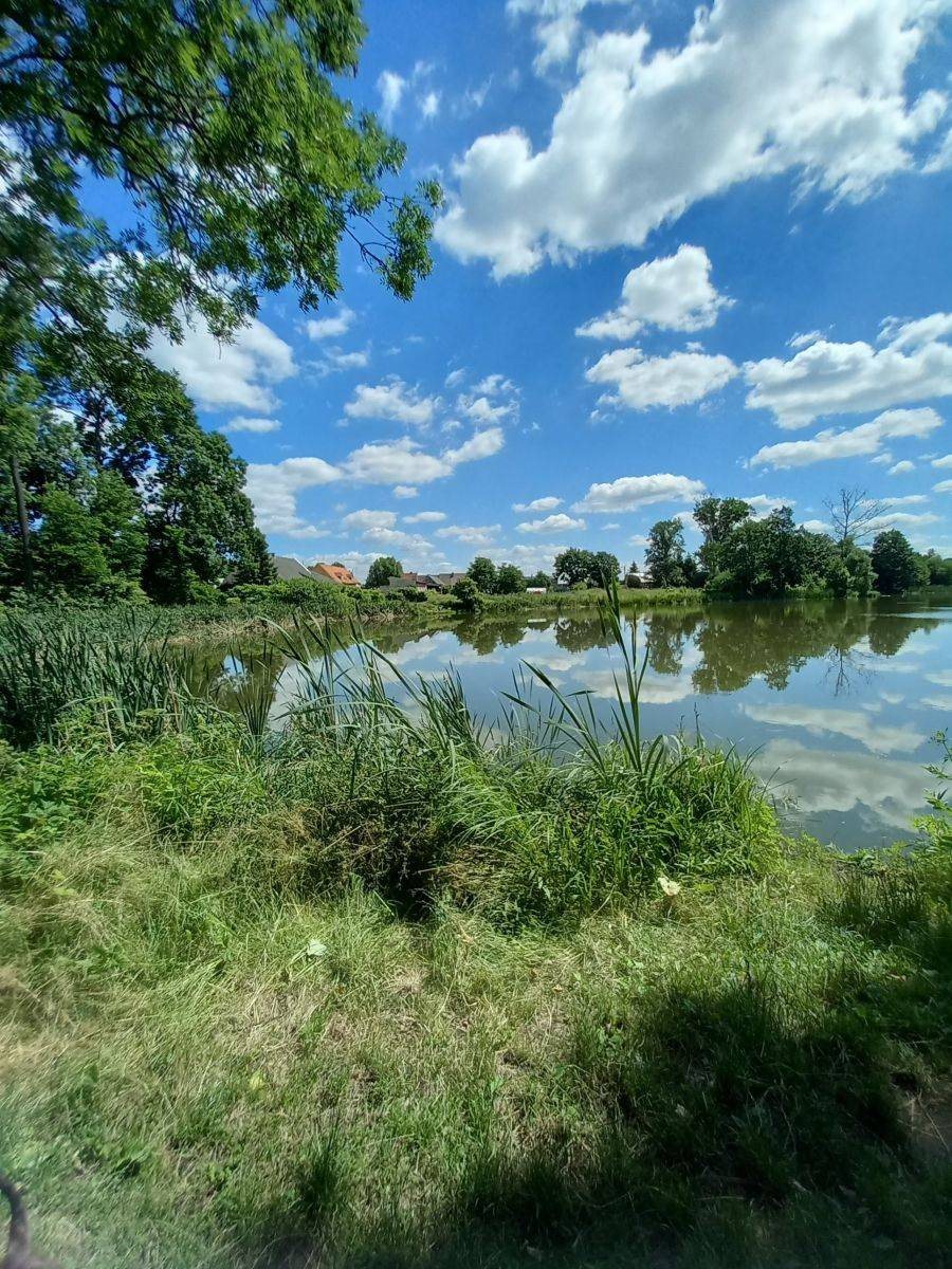 Działka rolna na sprzedaż Grubsko  3 000m2 Foto 6