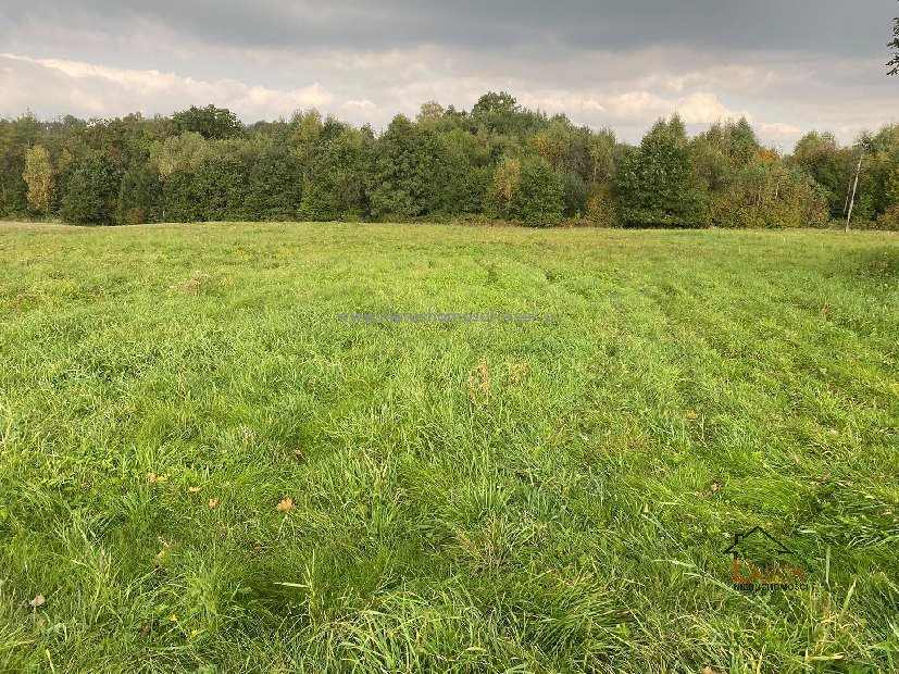 Działka 46 arów z widokiem na Kalwarię, podział możliwy Barwałd Górny  5 000m2 Foto 1