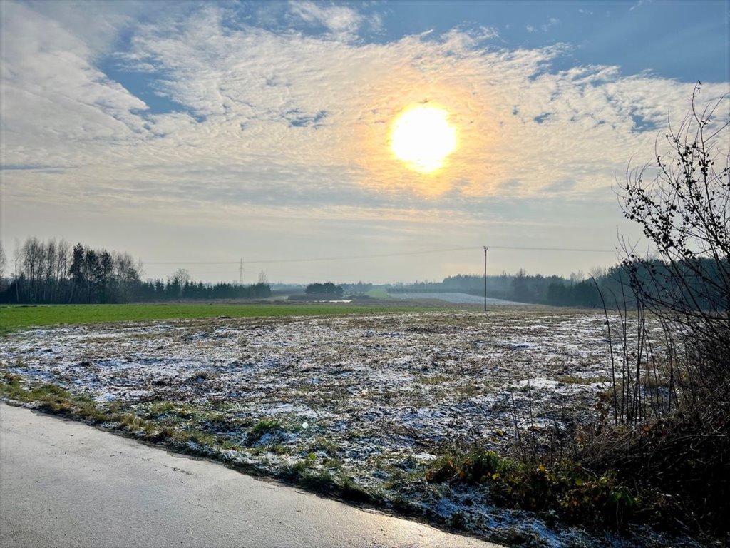 Działka budowlana na sprzedaż Kotorydz, Szczakoska  2 375m2 Foto 5