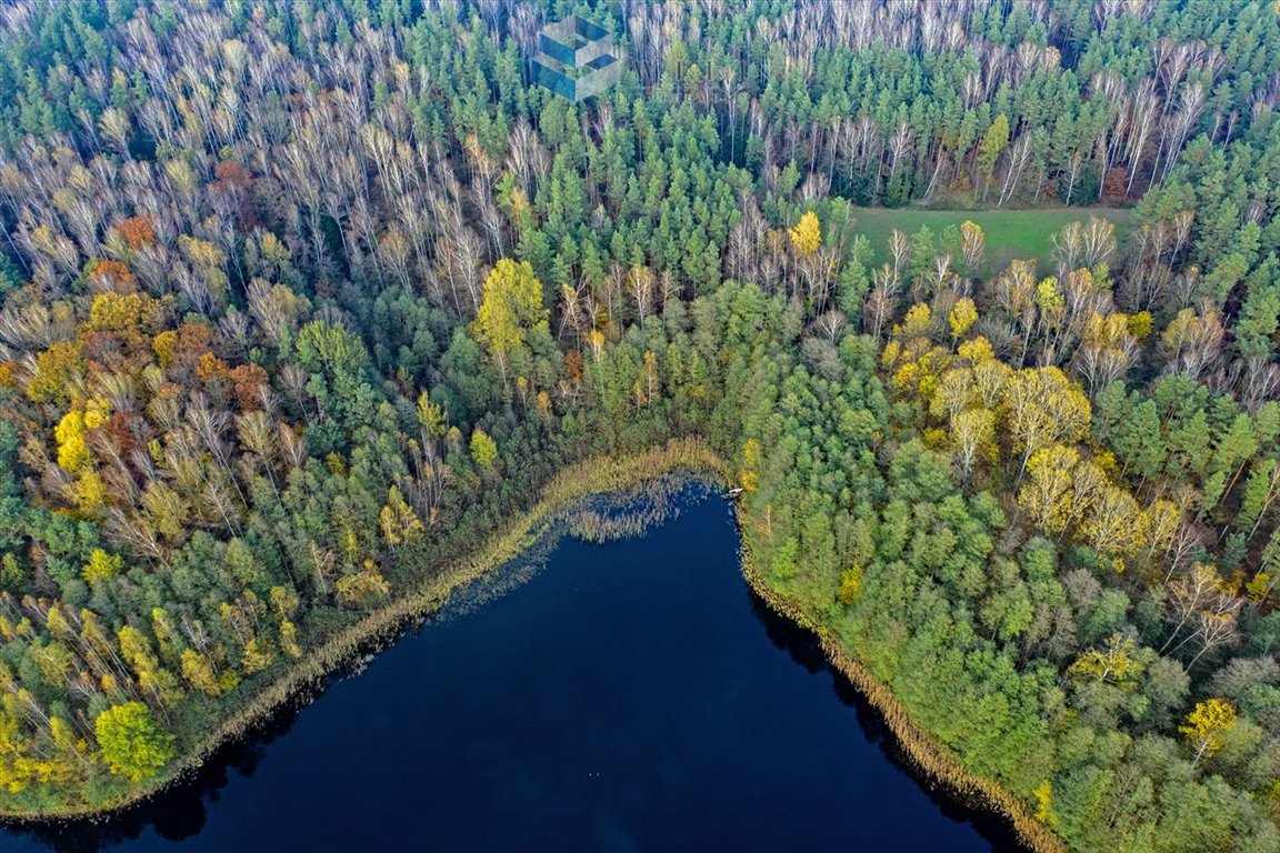 Działka budowlana na sprzedaż Ostrowin  3 003m2 Foto 17