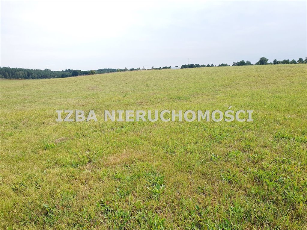 Działka rekreacyjna na sprzedaż Grabnik  3 400m2 Foto 4