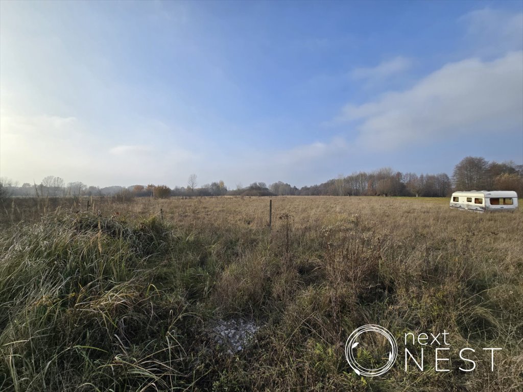 Działka siedliskowa na sprzedaż Wilczkowice Dolne  8 000m2 Foto 5