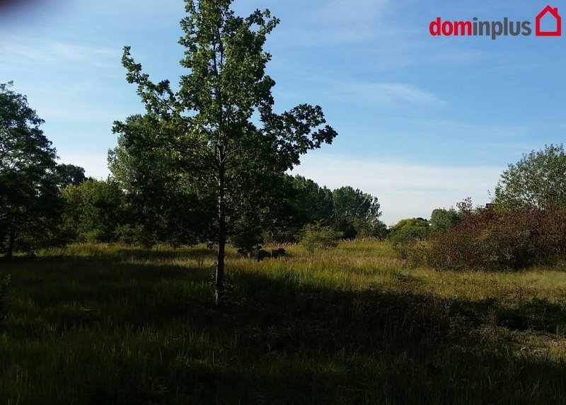 Działka inna na sprzedaż Toruń 41 000m2 Foto 1 Działka inna na sprzedaż Toruń 41 000m2 Foto 1