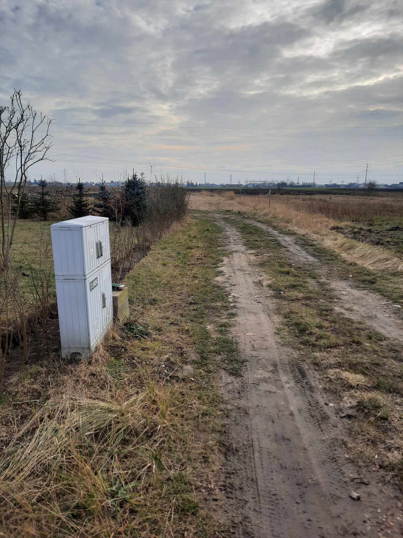 Polecam działkę 3000 m² z możliwością zabudowy w Topolinie Topolin  3 000m2 Foto 1