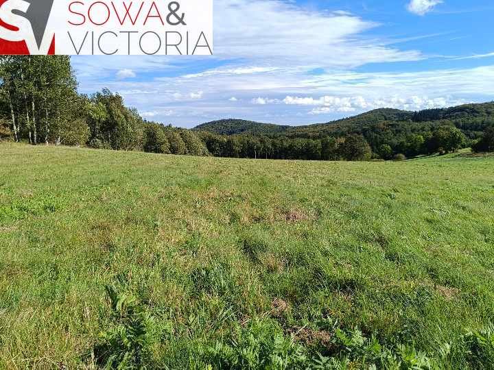 Działka inna na sprzedaż Michałkowa  3 000m2 Foto 3