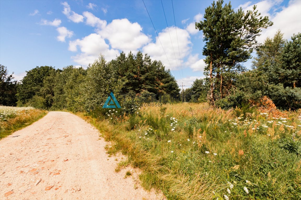 Działka rolna na sprzedaż Czarna Dąbrówka, Kaszubska  30 100m2 Foto 10