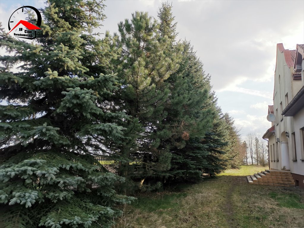 Dom na sprzedaż Kolonia Bodzanowska  800m2 Foto 3