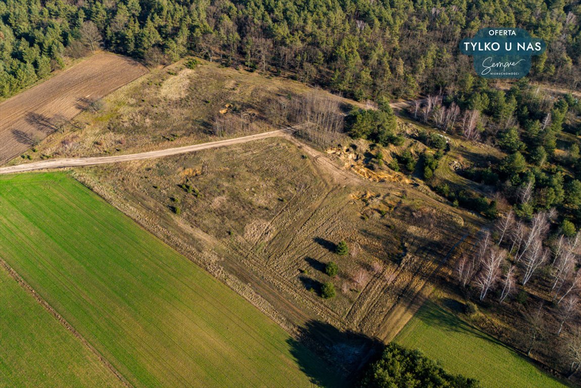 Działka rolna na sprzedaż Wilczków  13 536m2 Foto 5