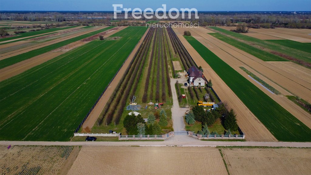 Działka siedliskowa na sprzedaż Łęg  58 000m2 Foto 1