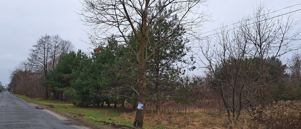 Działka budowlana na sprzedaż Kamionka  4 107m2 Foto 2