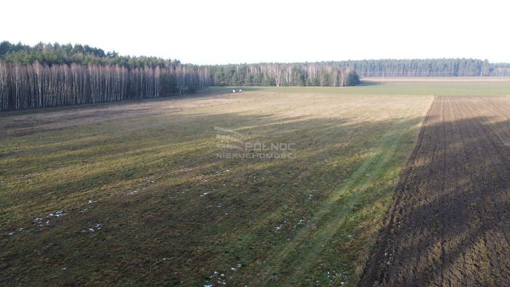 Działka rolna na sprzedaż Nowa Wieś  15 730m2 Foto 6