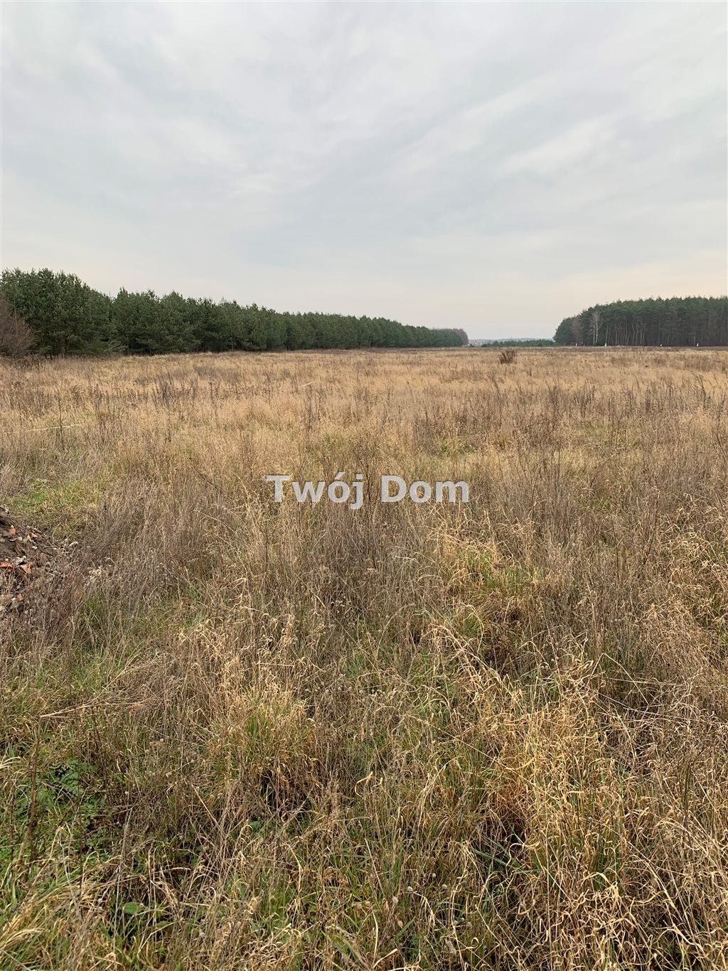 Działka 970 m² z warunkami zabudowy, blisko lasu Szkocja  970m2 Foto 1