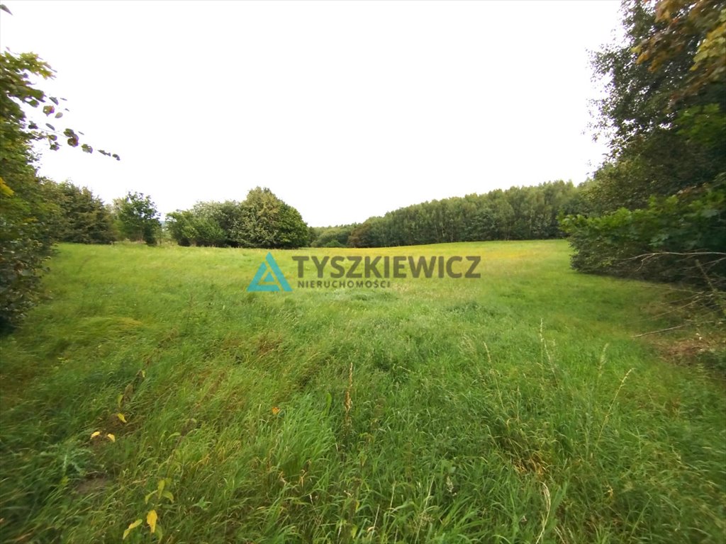 Działka rolna na sprzedaż Bielkówko, Miechucińska  7 300m2 Foto 8