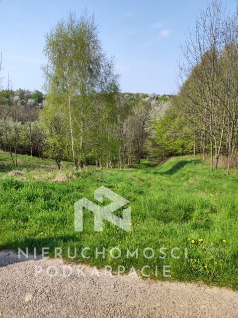 Działka rolna z dostępem do drogi, zalesiona 11 600 m² - polecam! Lubenia  11 600m2 Foto 1