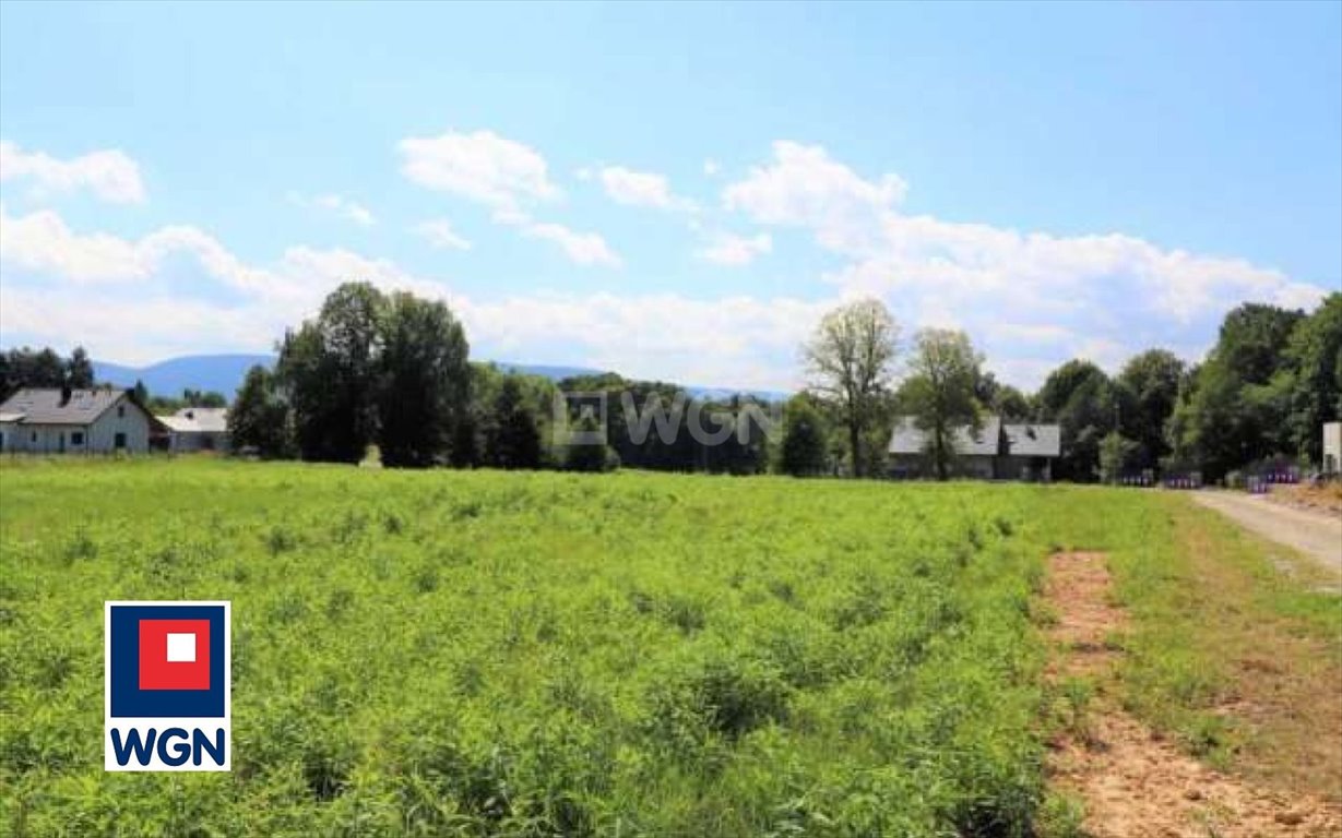 Działka budowlana na sprzedaż Bielsko-Biała, HAŁCNÓW, BYSTRA  1 796m2 Foto 1