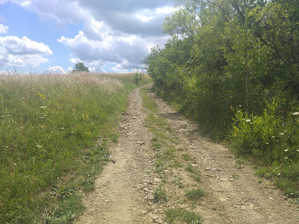 Działka rolna na sprzedaż Makowiska  9 700m2 Foto 15