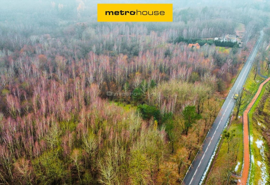 Malownicza działka z widokiem na Zalew Wiślany, projekt domu Kamionek Wielki  9 981m2 Foto 1