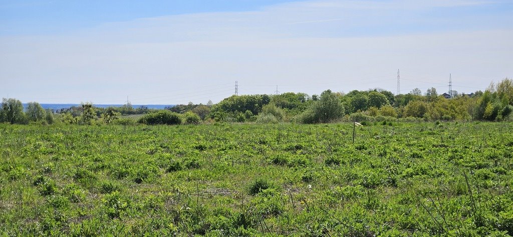 Działka inna na sprzedaż Szczecin, Skolwin, Krajobrazowa  652m2 Foto 1