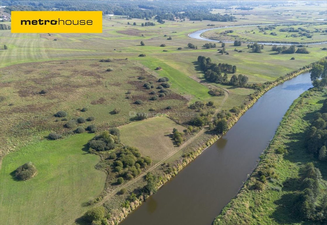 Działka rolna na sprzedaż Kalinowo  11 800m2 Foto 1