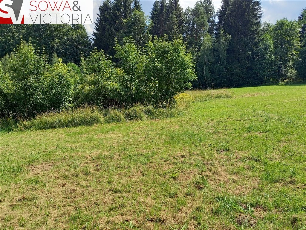 Działka inna na sprzedaż Jugowice  3 000m2 Foto 5