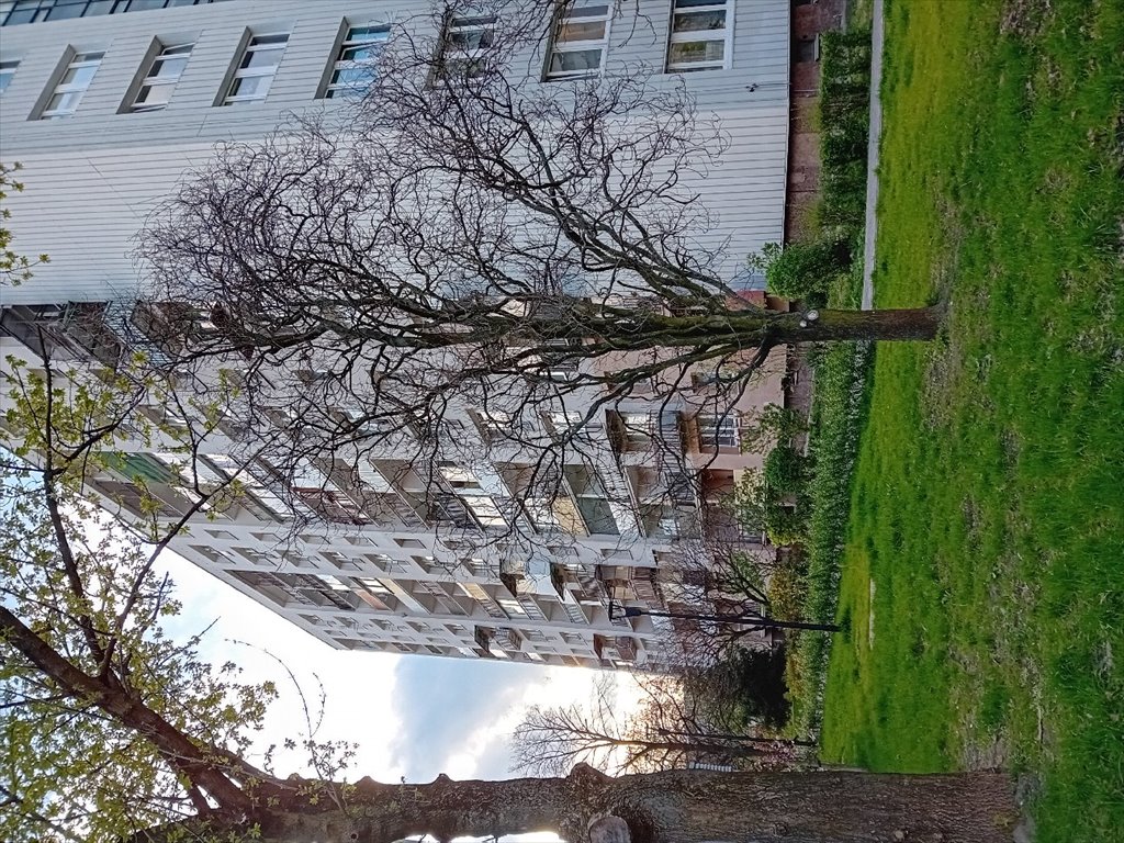 Mieszkanie dwupokojowe na sprzedaż Legionowo, Sowińskiego  43m2 Foto 3