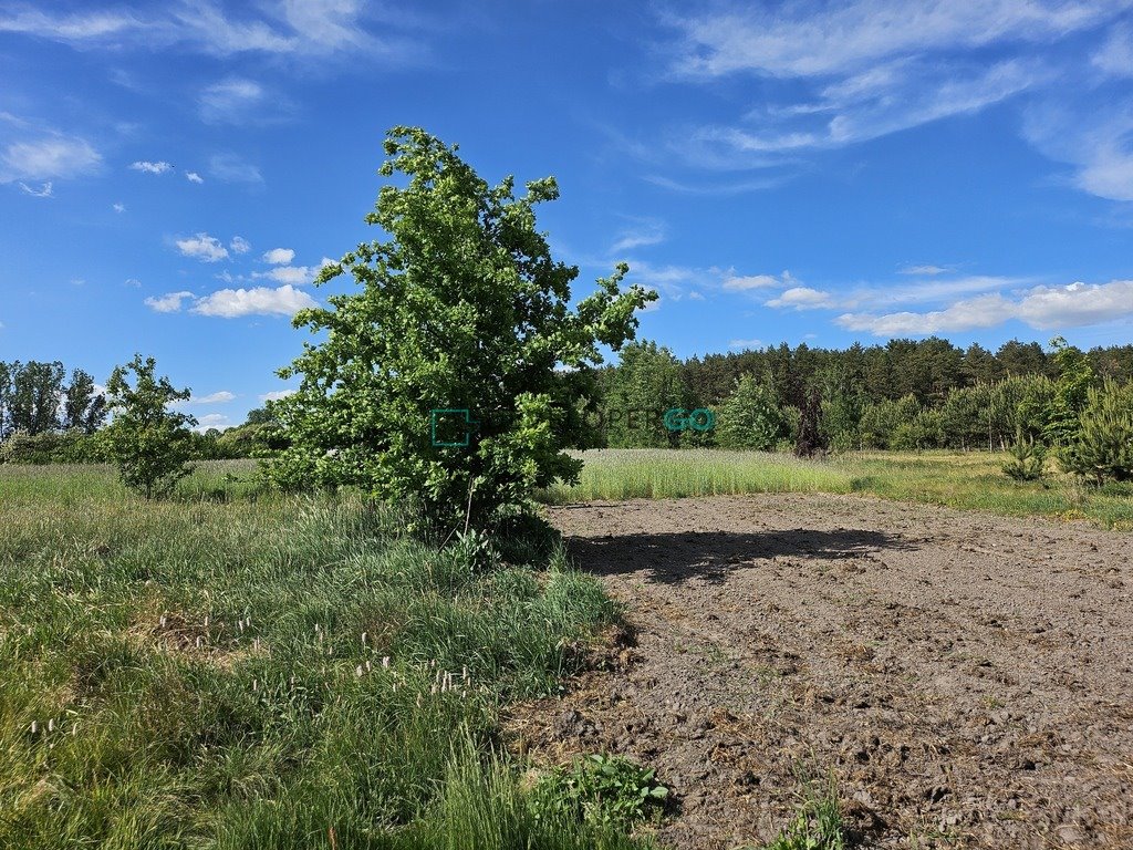 Działka budowlana na sprzedaż Kisielany-Żmichy  13 400m2 Foto 3